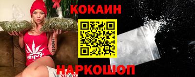 шишки Гай