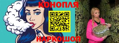 шишки Гай