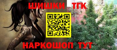 шишки Гай