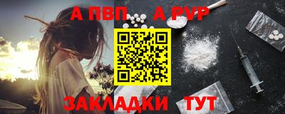 шишки Гай