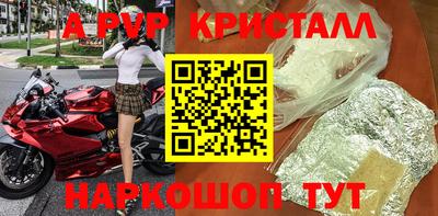 шишки Гай