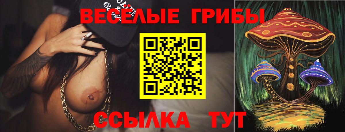 Псилоцибиновые грибы Magic Shrooms Биробиджан